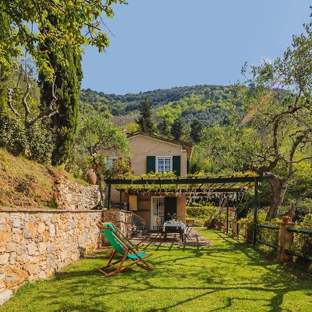 Montemagno  Holiday Home Il Glicine By Interhome מראה חיצוני תמונה